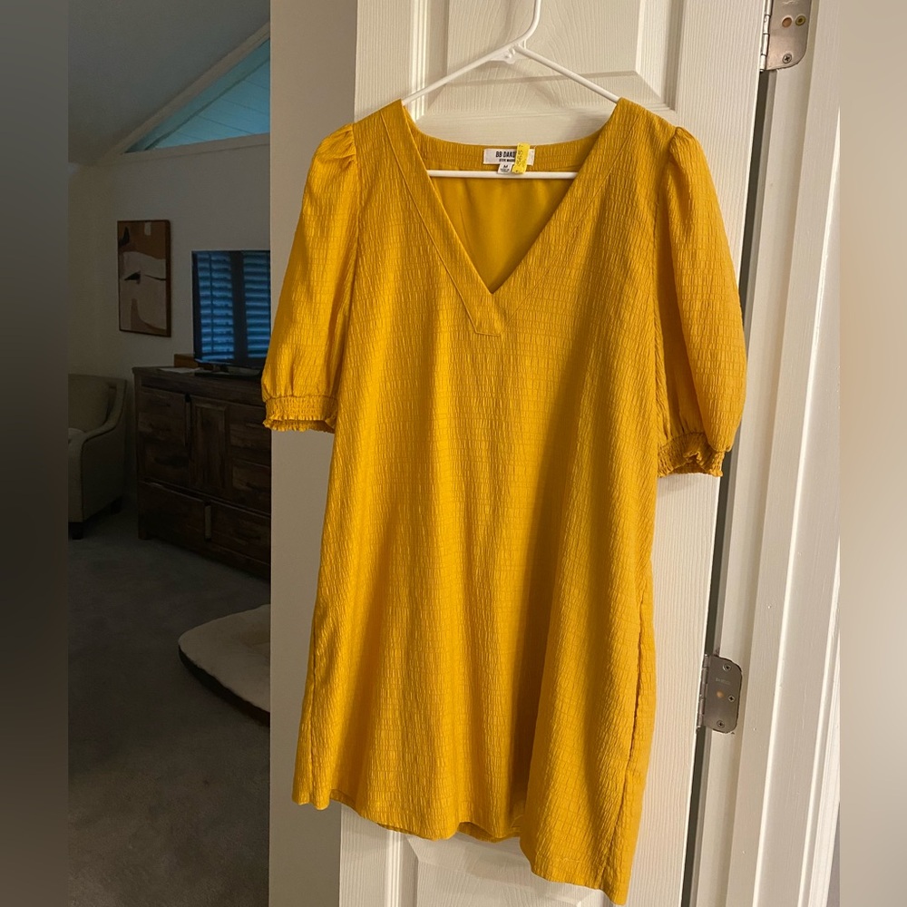 BB Dakota Dress